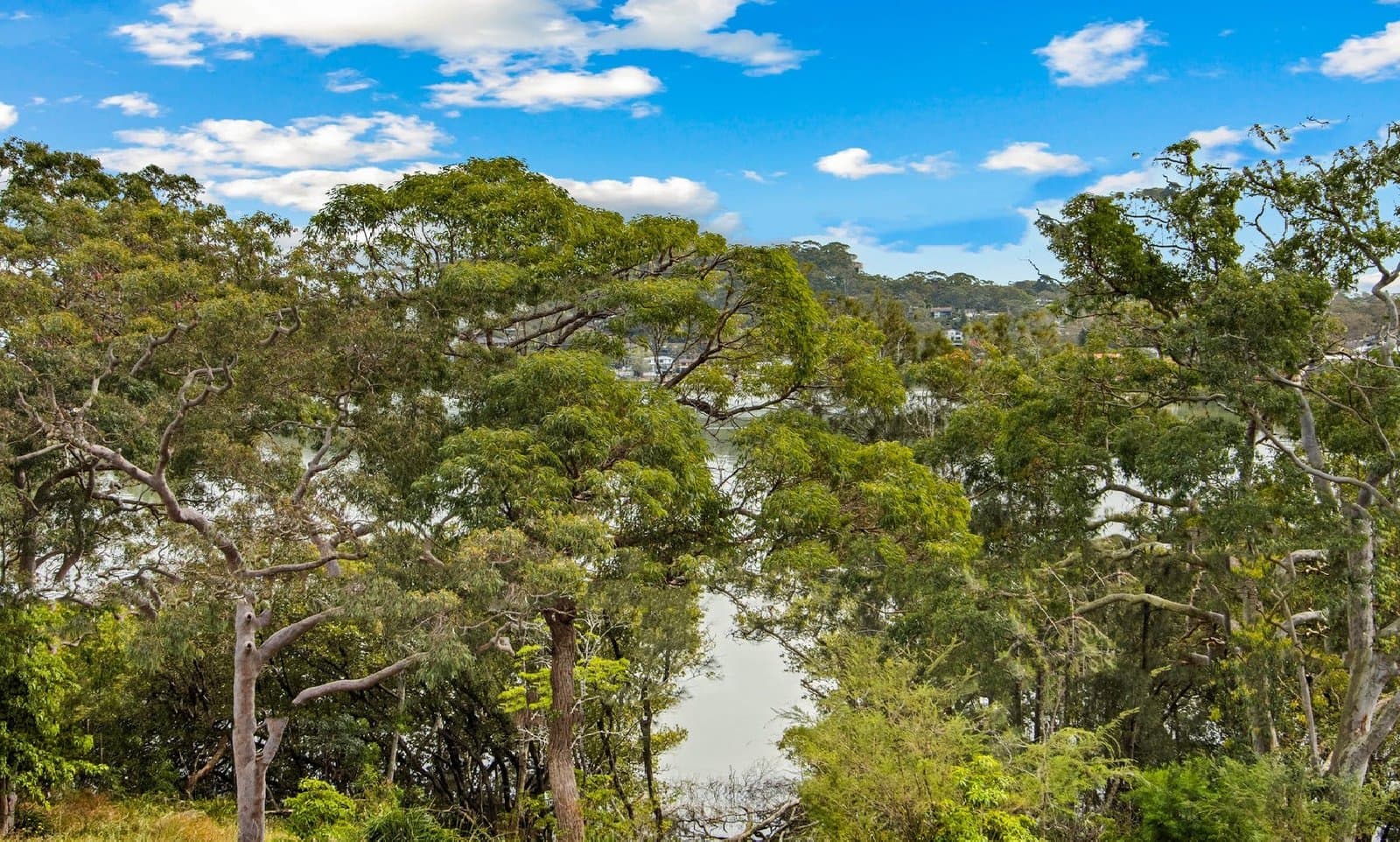 54 Tulloh Street, Willoughby, Willoughby - Thumbnail 3
