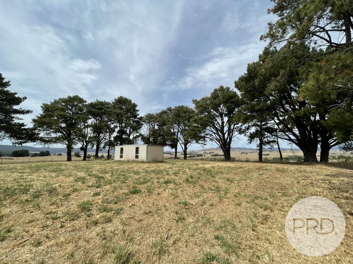 46 Mannus Creek Road, TUMBARUMBA NSW 2653, Mannus - Thumbnail 2