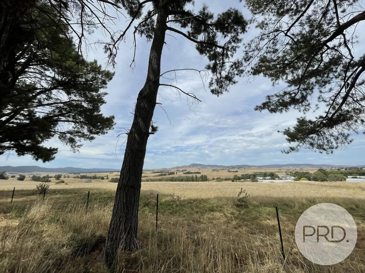 46 Mannus Creek Road, TUMBARUMBA NSW 2653, Mannus - Thumbnail 5