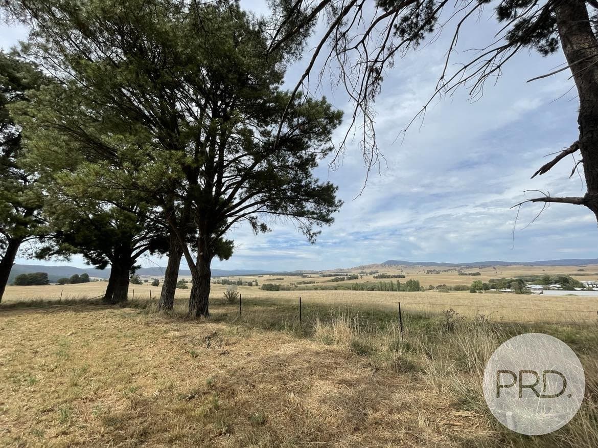 46 Mannus Creek Road, TUMBARUMBA NSW 2653, Mannus - Thumbnail 6