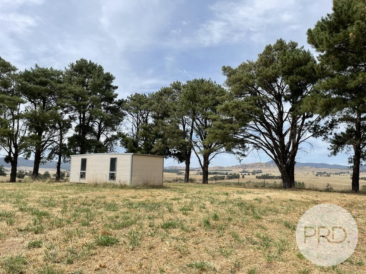 46 Mannus Creek Road, TUMBARUMBA NSW 2653, Mannus - Thumbnail 7