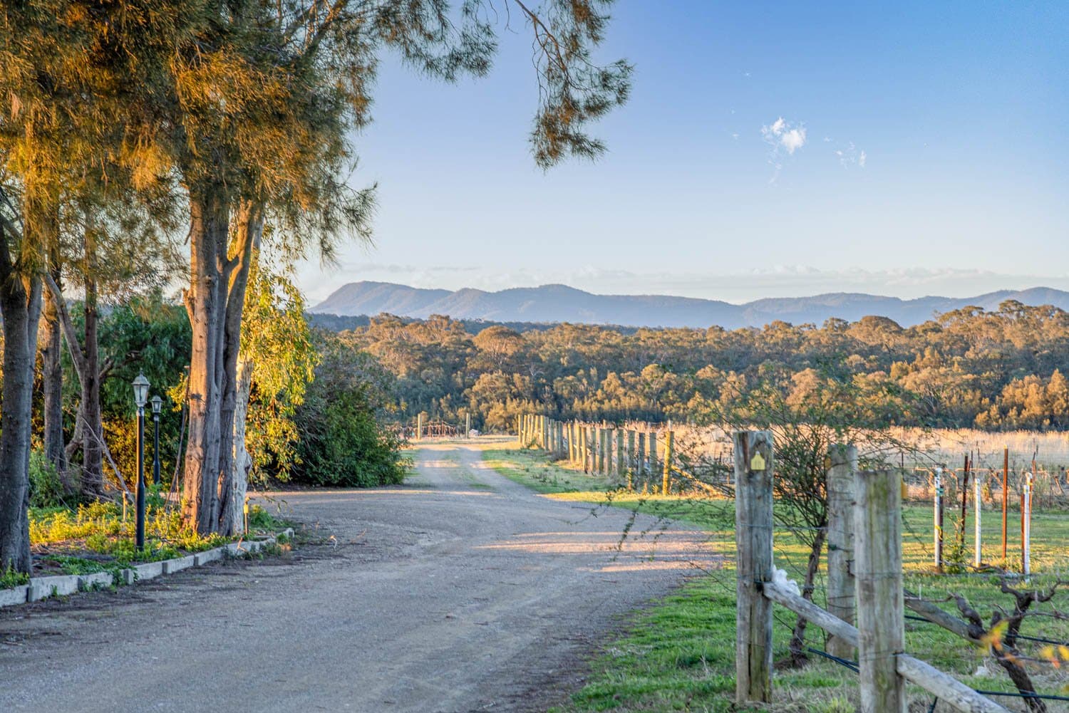 463 Deasys Road, POKOLBIN NSW 2320, Pokolbin - Thumbnail 2
