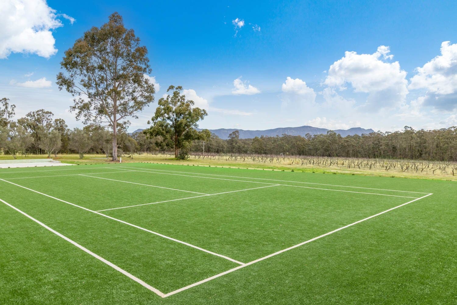 463 Deasys Road, POKOLBIN NSW 2320, Pokolbin - Thumbnail 5