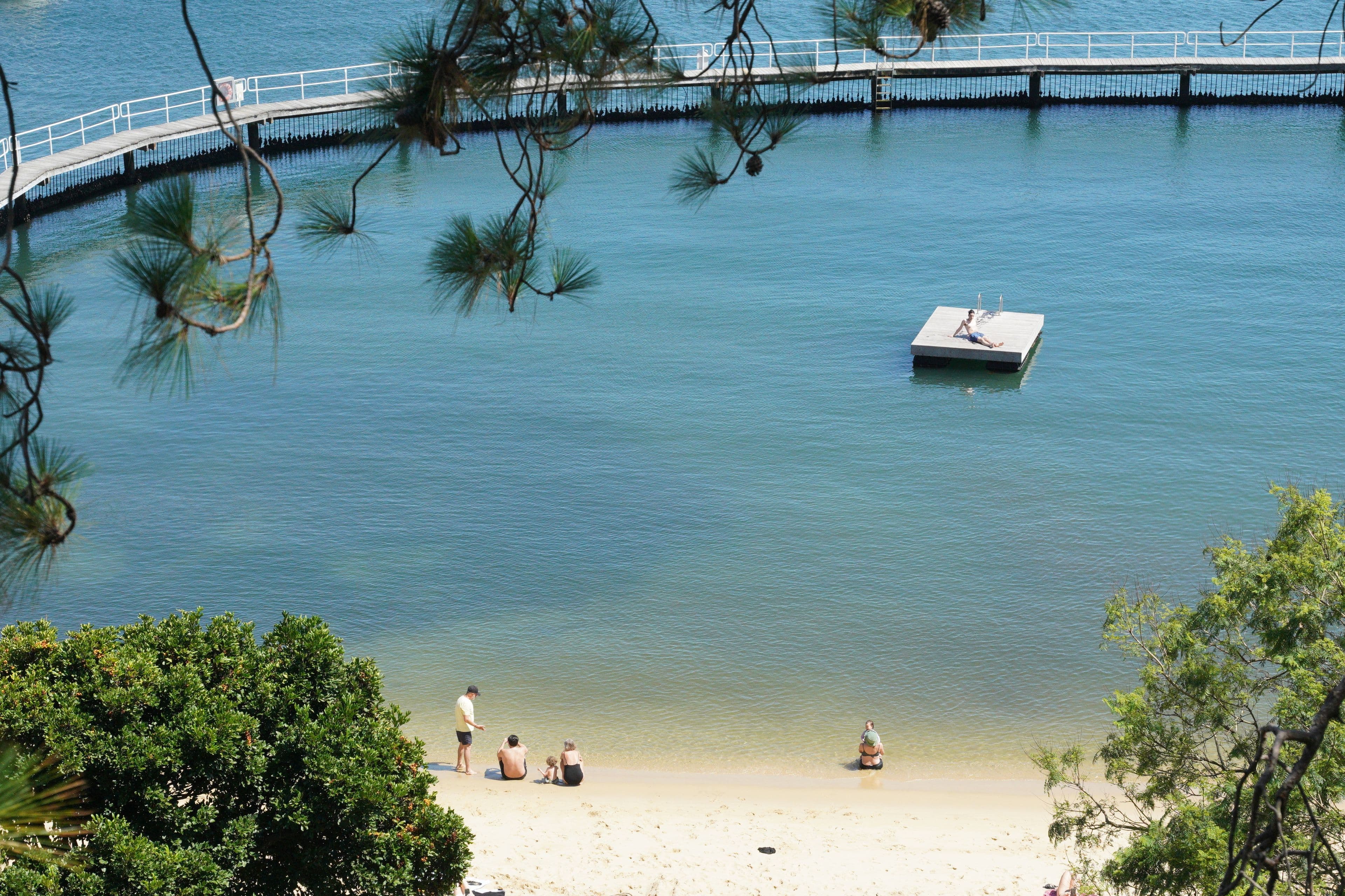 164 Bellevue Road, Bellevue Hill - Thumbnail 6