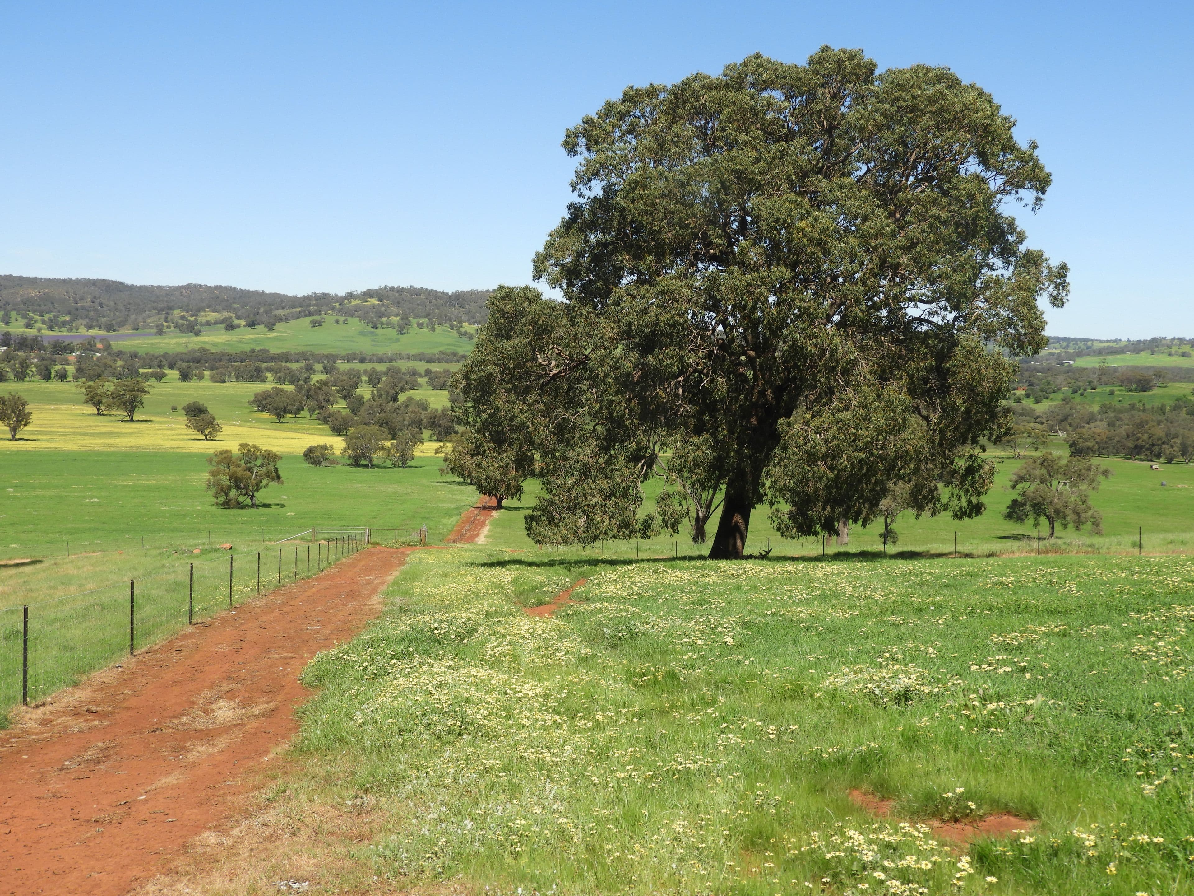 The Breakaway, Great Northern Highway , Bindoon WA 6502, Bindoon - Thumbnail 2
