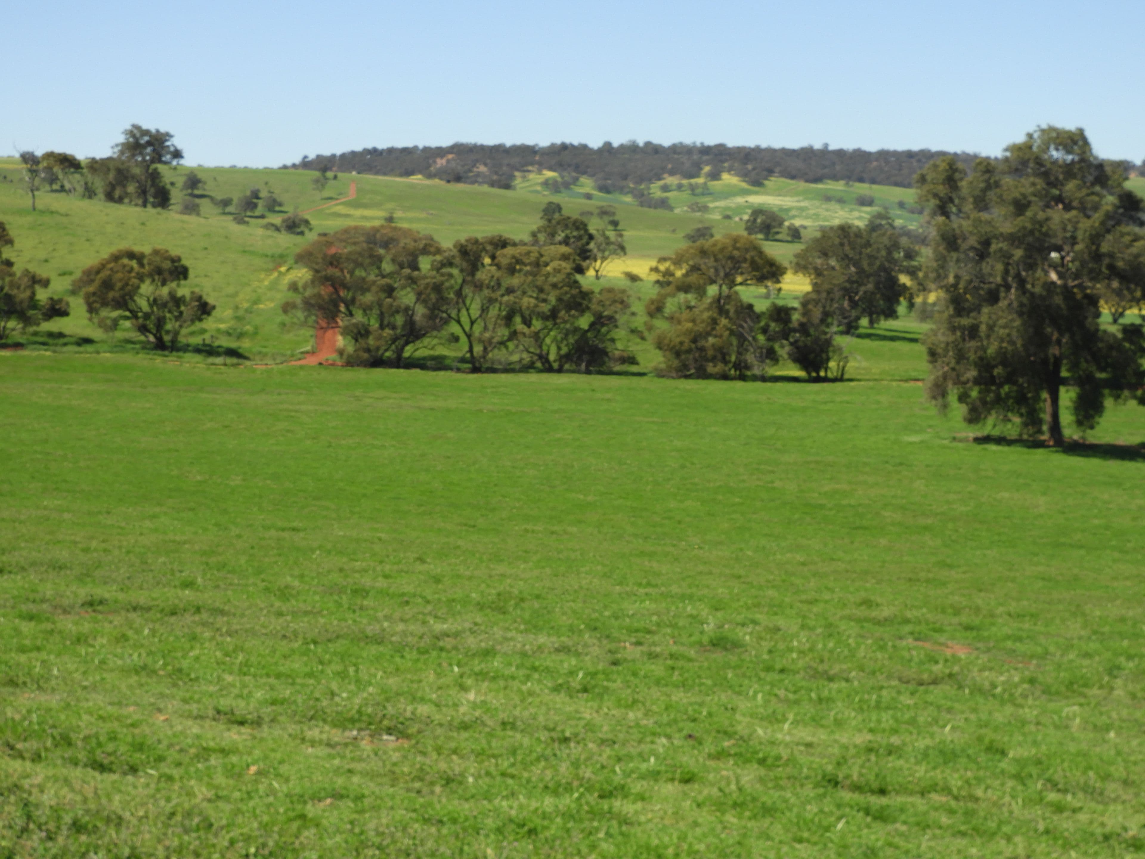 The Breakaway, Great Northern Highway , Bindoon WA 6502, Bindoon - Thumbnail 3