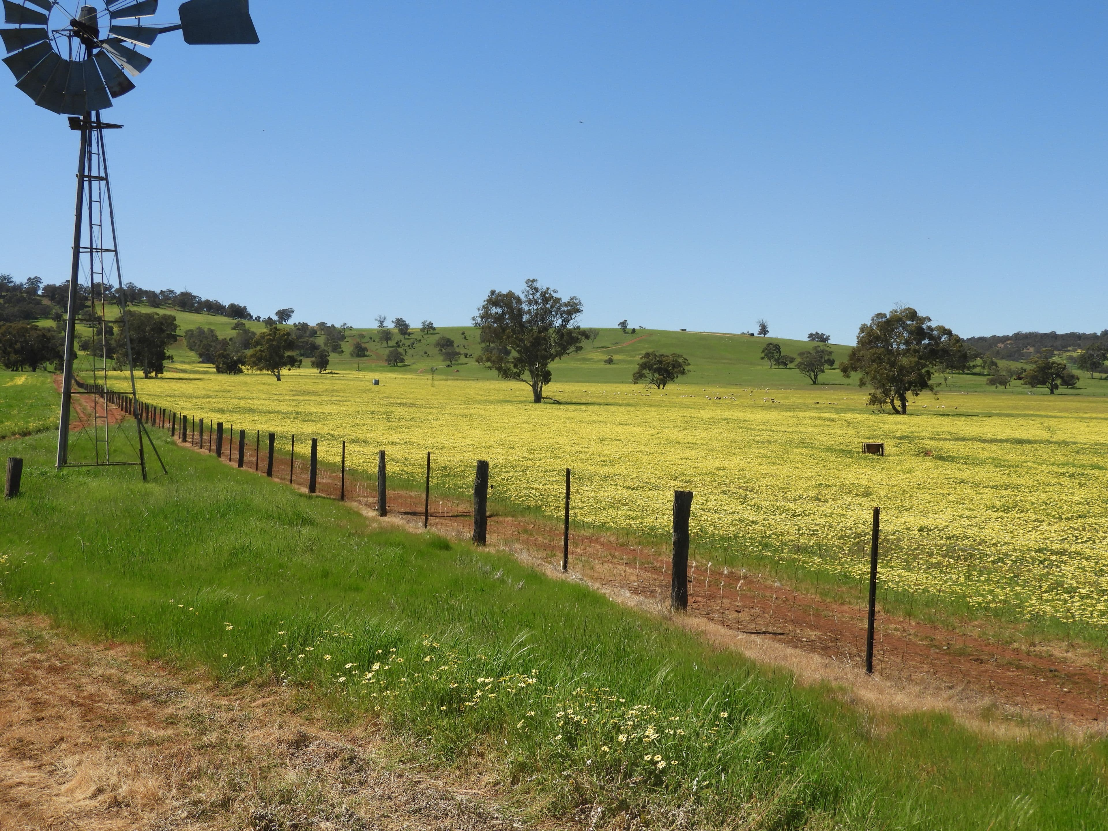 The Breakaway, Great Northern Highway , Bindoon WA 6502, Bindoon - Thumbnail 4