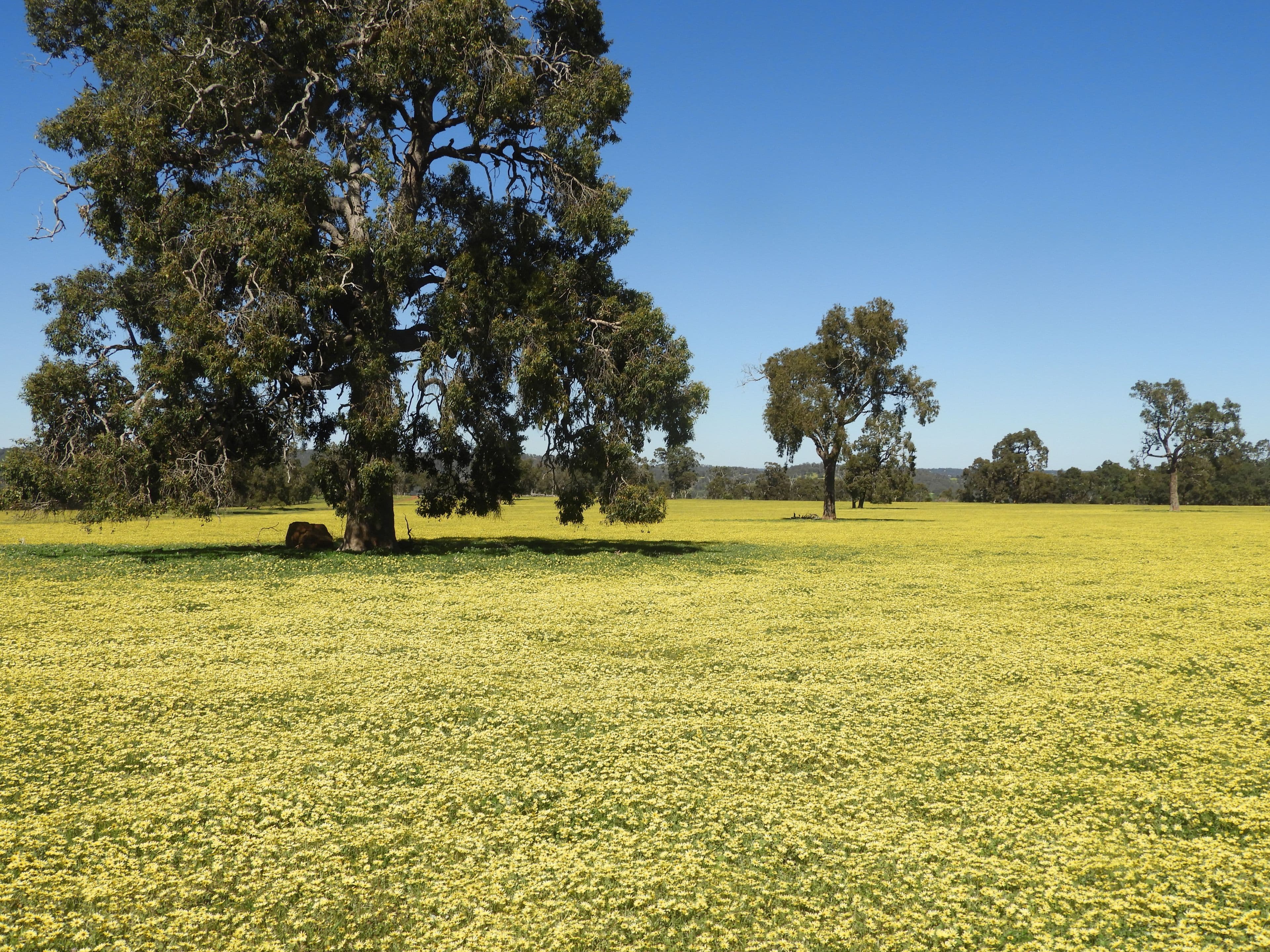 The Breakaway, Great Northern Highway , Bindoon WA 6502, Bindoon - Thumbnail 5