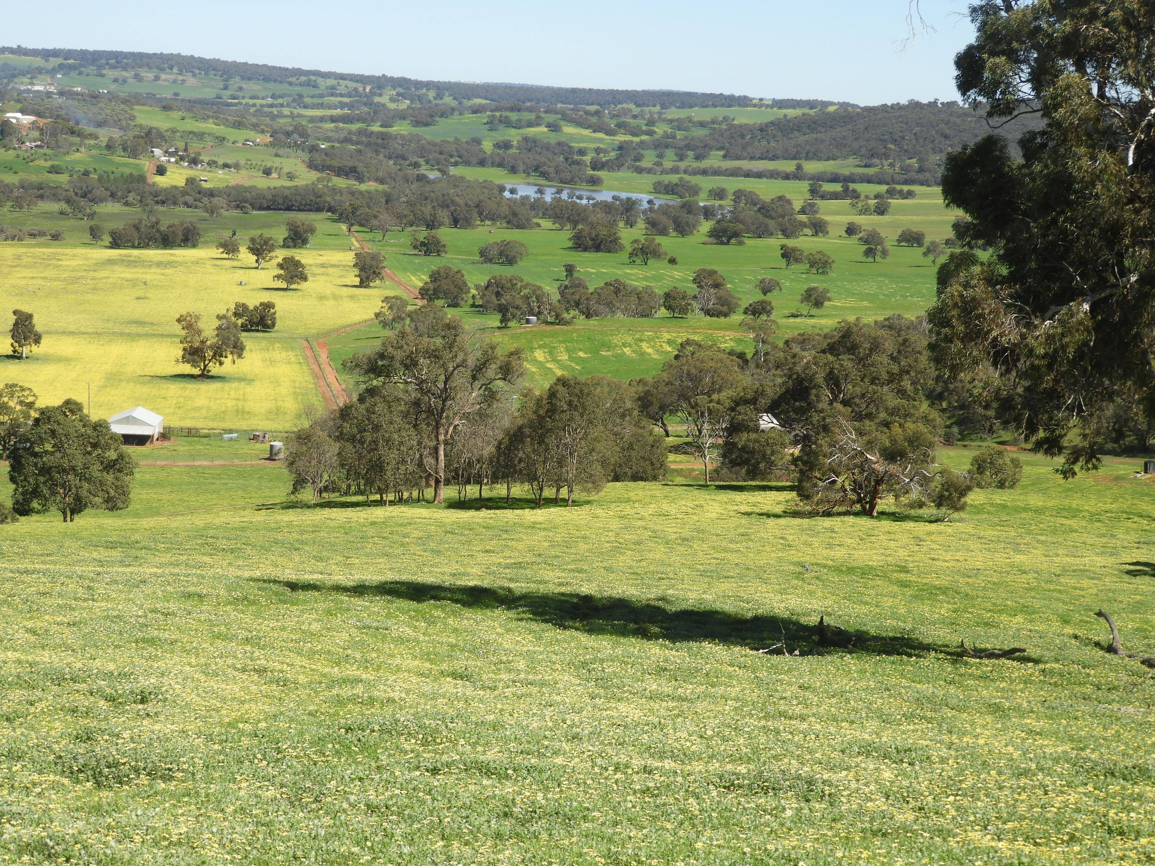 The Breakaway, Great Northern Highway , Bindoon WA 6502, Bindoon - Thumbnail 6