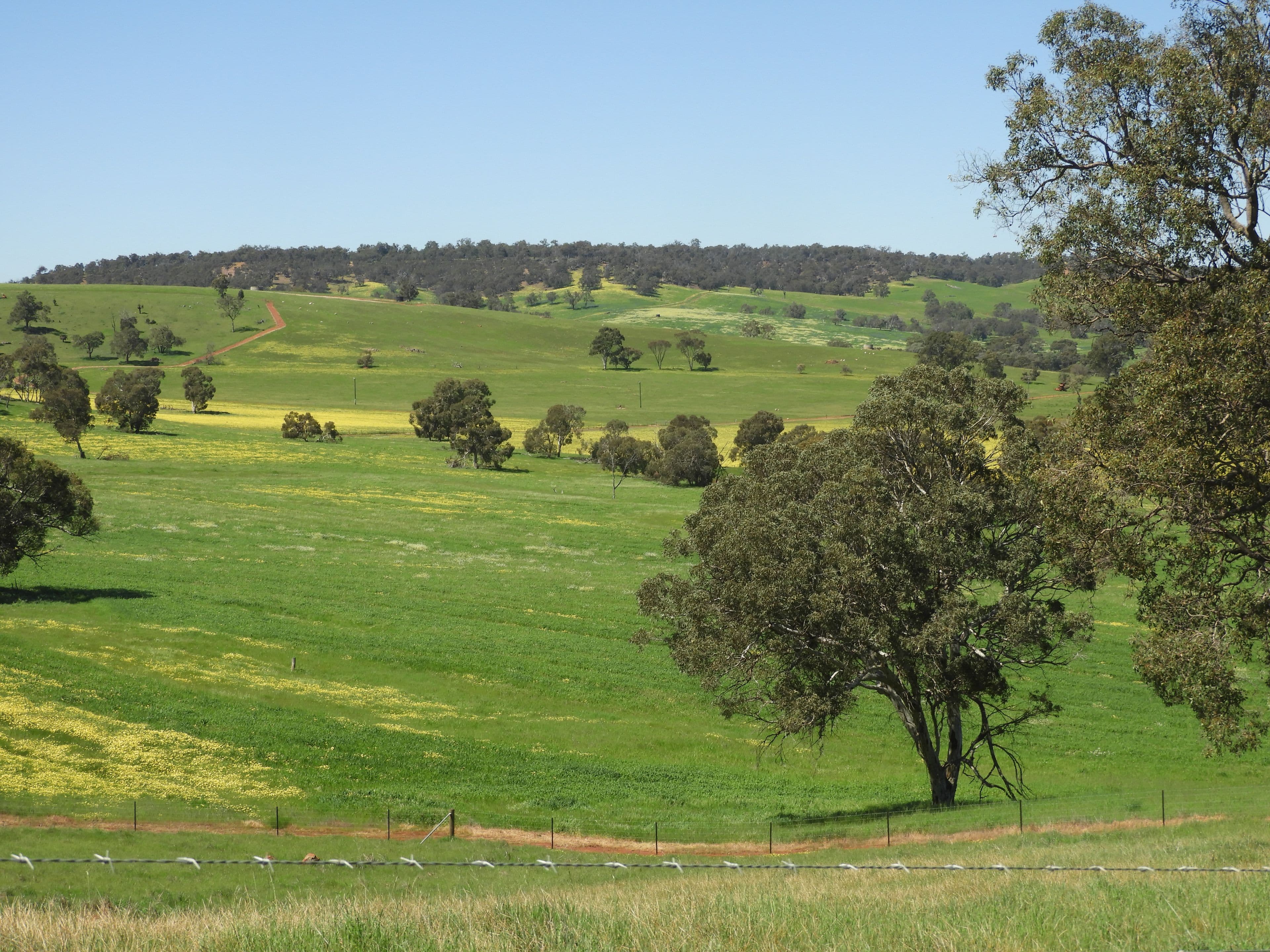 The Breakaway, Great Northern Highway , Bindoon WA 6502, Bindoon - Thumbnail 8