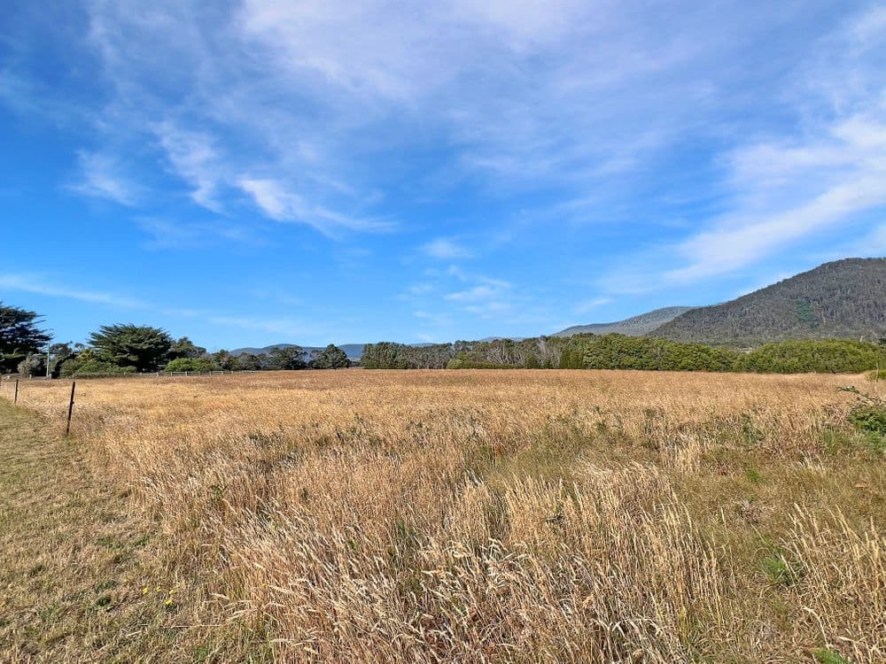 PID 2190215 Macquarie Street, SEYMOUR, TAS 7215, Seymour - Thumbnail 3