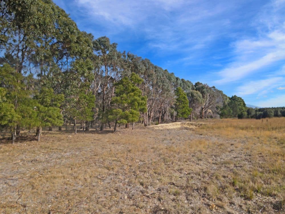 PID 2190215 Macquarie Street, SEYMOUR, TAS 7215, Seymour - Thumbnail 4