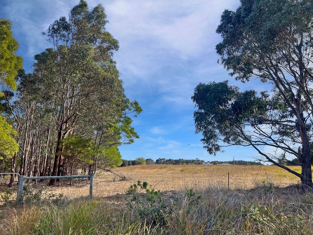 PID 2190215 Macquarie Street, SEYMOUR, TAS 7215, Seymour - Thumbnail 7