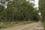 19 Saddlers Run Road, REEDY MARSH, TAS 7304, Reedy Marsh - Image 1