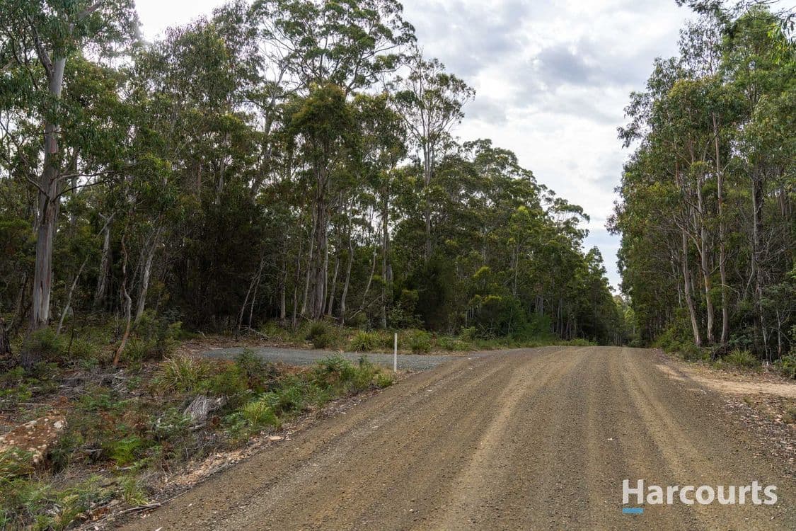 19 Saddlers Run Road, REEDY MARSH, TAS 7304, Reedy Marsh - Thumbnail 2