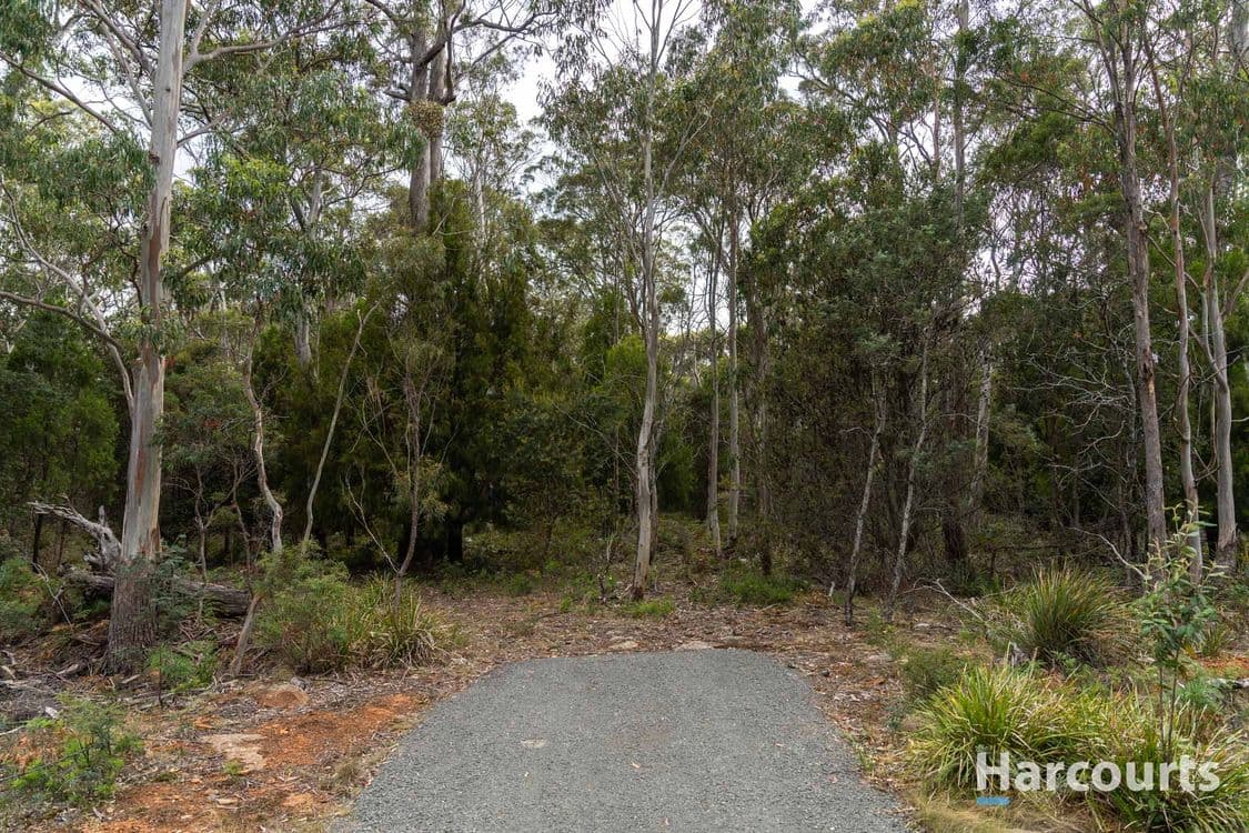 19 Saddlers Run Road, REEDY MARSH, TAS 7304, Reedy Marsh - Thumbnail 3