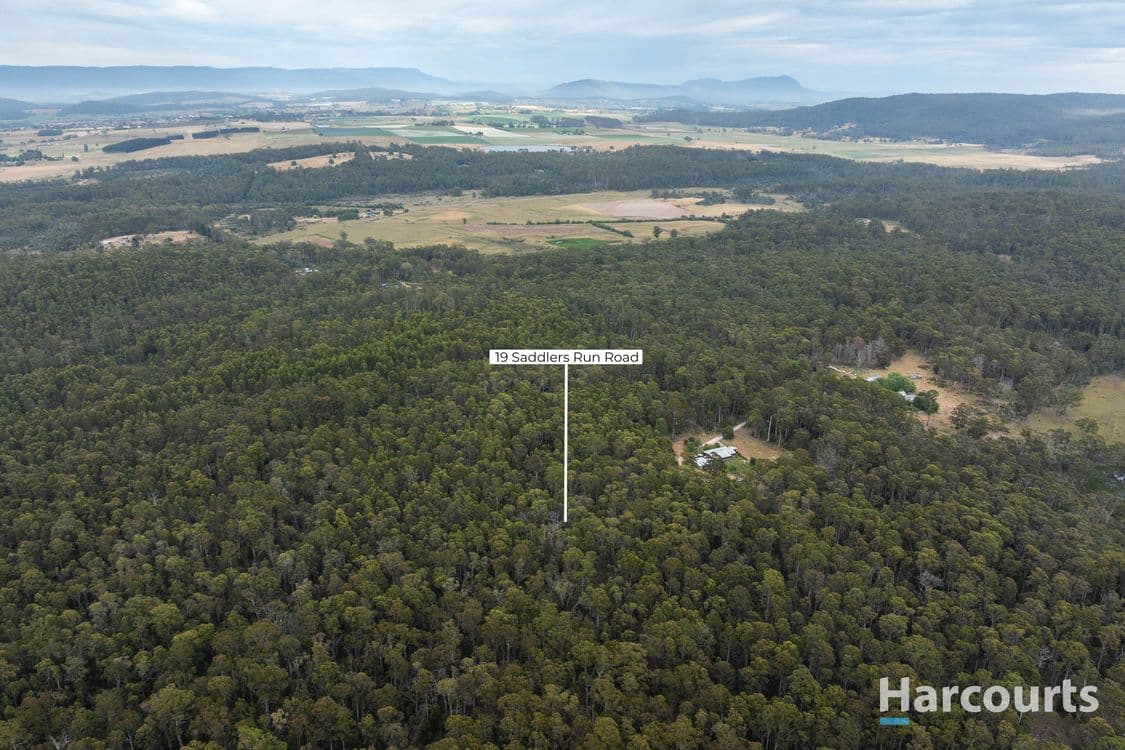 19 Saddlers Run Road, REEDY MARSH, TAS 7304, Reedy Marsh - Thumbnail 4
