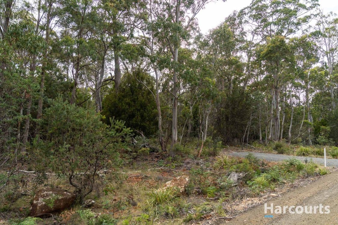 19 Saddlers Run Road, REEDY MARSH, TAS 7304, Reedy Marsh - Thumbnail 5