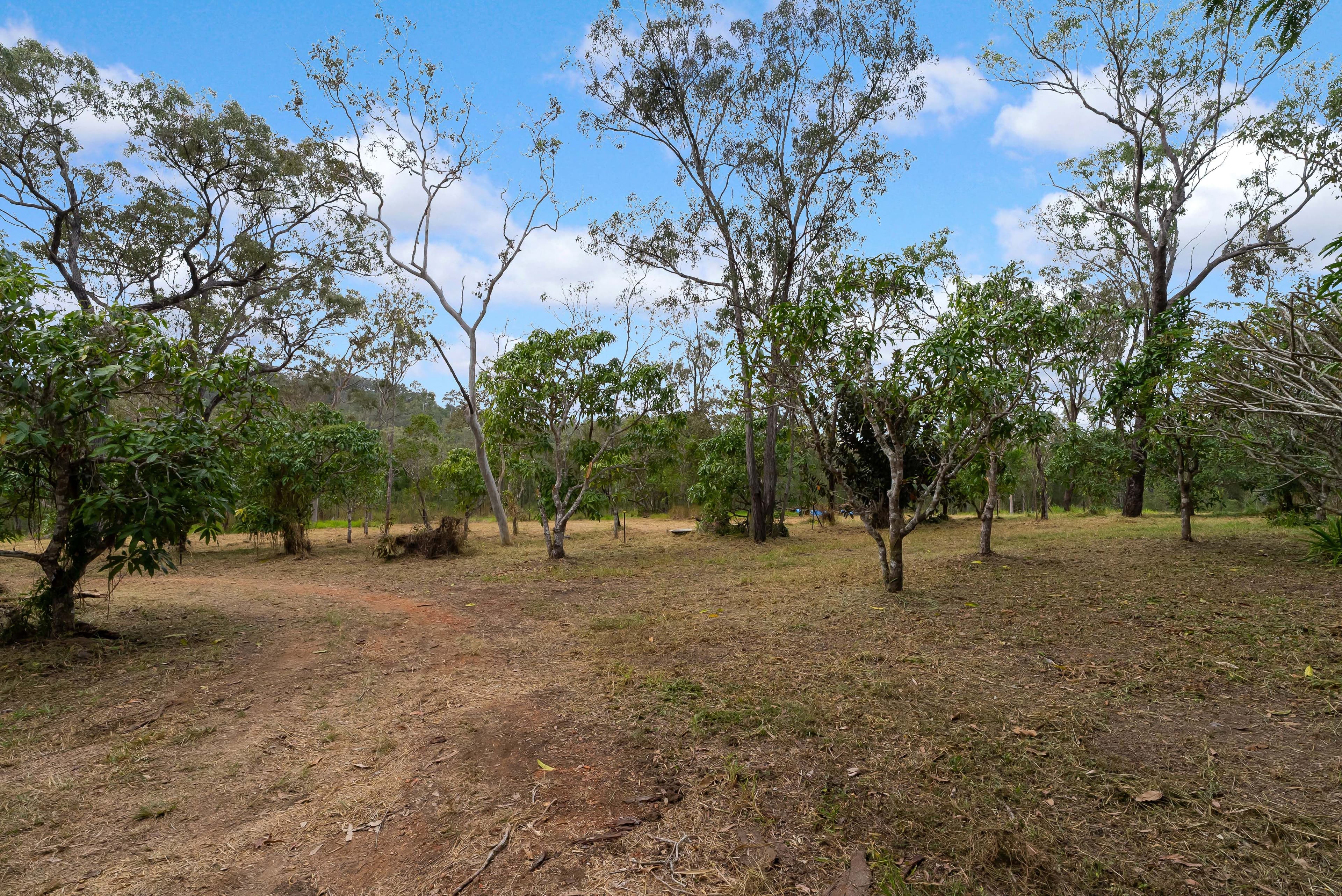 135 Cedar Park Road , Koah QLD 4881, Koah - Thumbnail 4