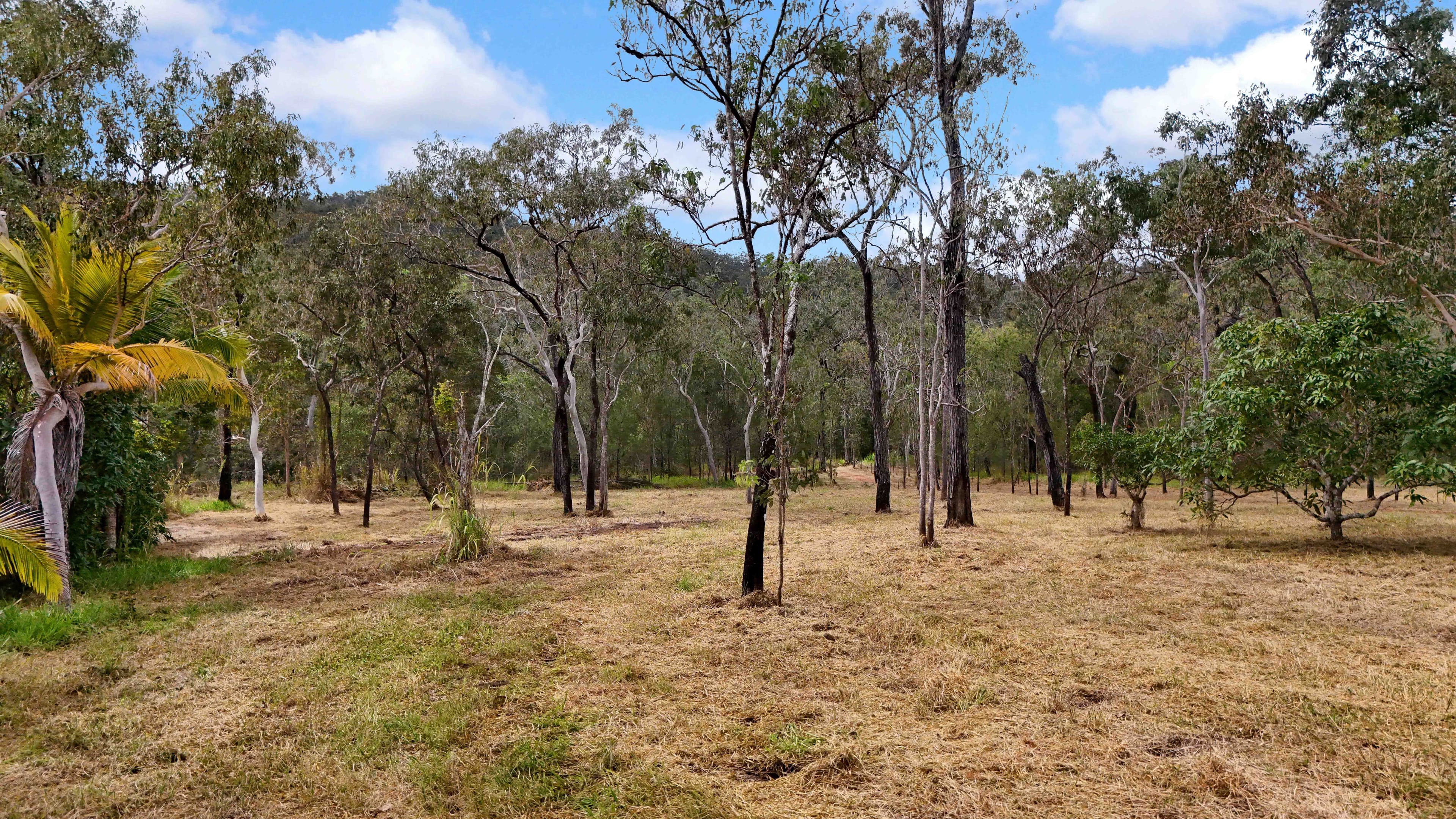 135 Cedar Park Road , Koah QLD 4881, Koah - Thumbnail 6