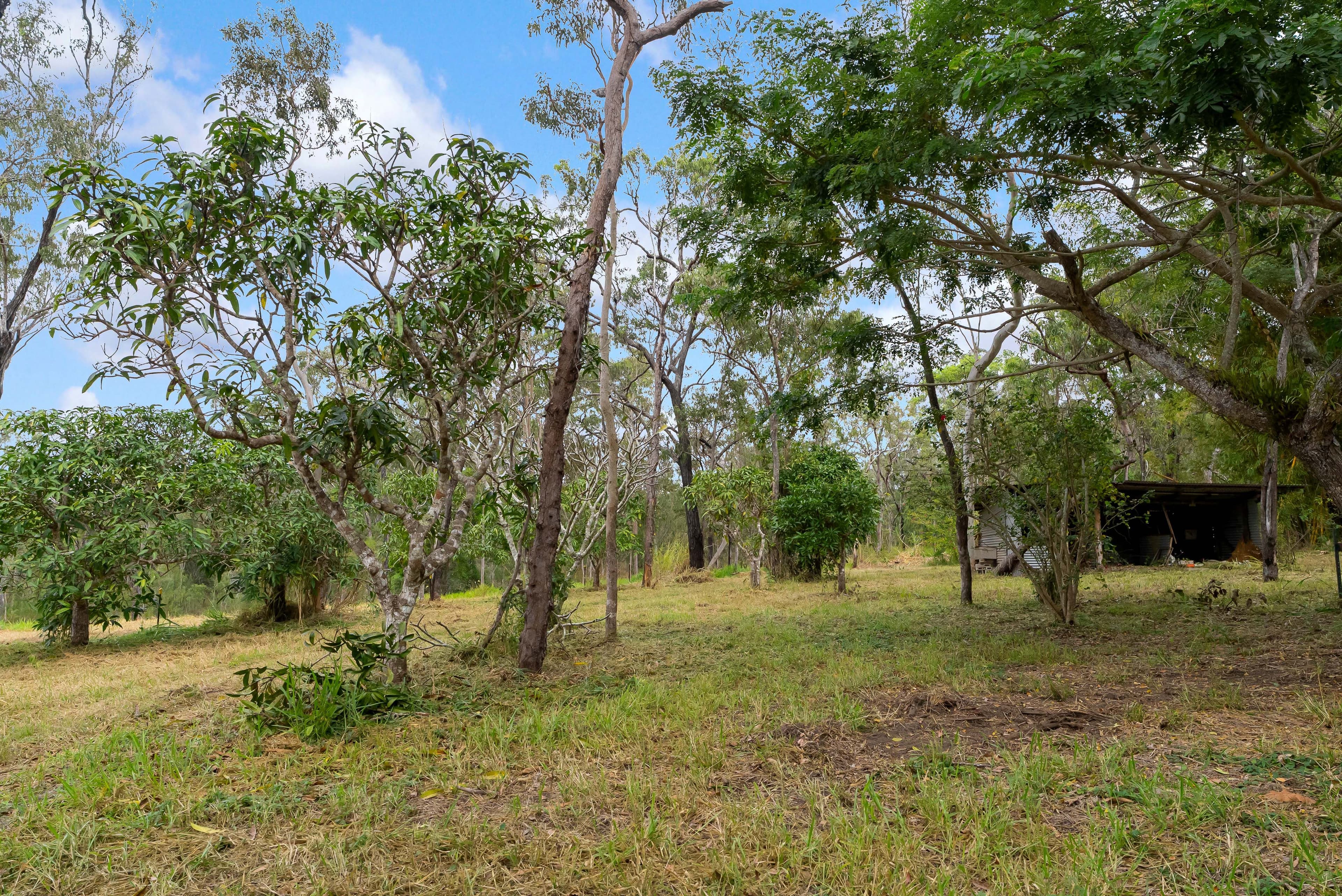 135 Cedar Park Road , Koah QLD 4881, Koah - Thumbnail 8