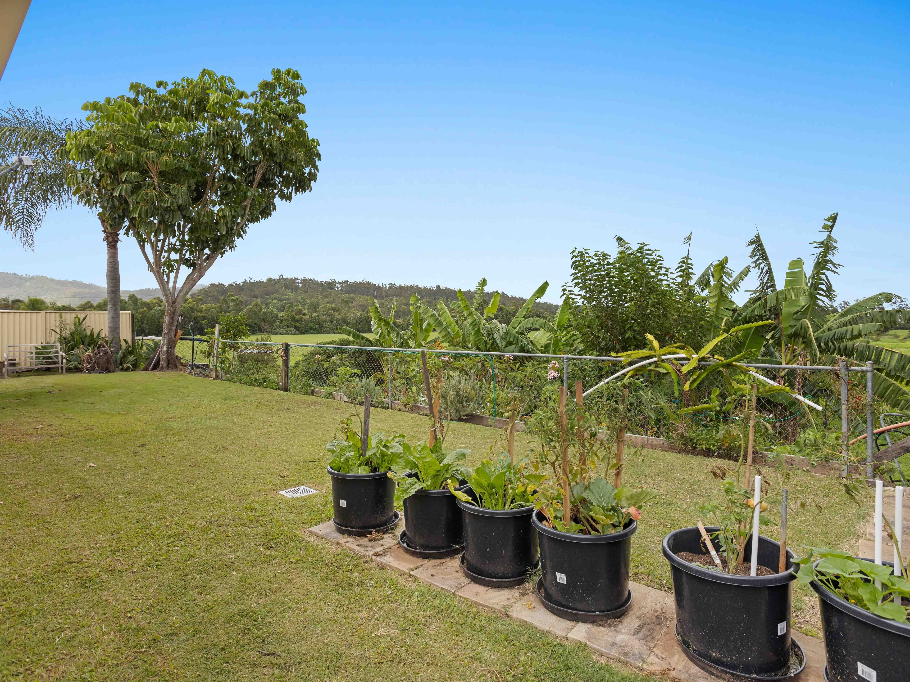 23 Blueash Crescent , Oxenford QLD 4210, Oxenford - Thumbnail 5