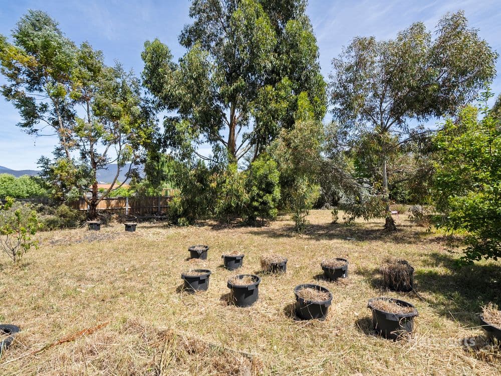 7a Childs Drive, OLD BEACH, TAS 7017, Old Beach - Thumbnail 8