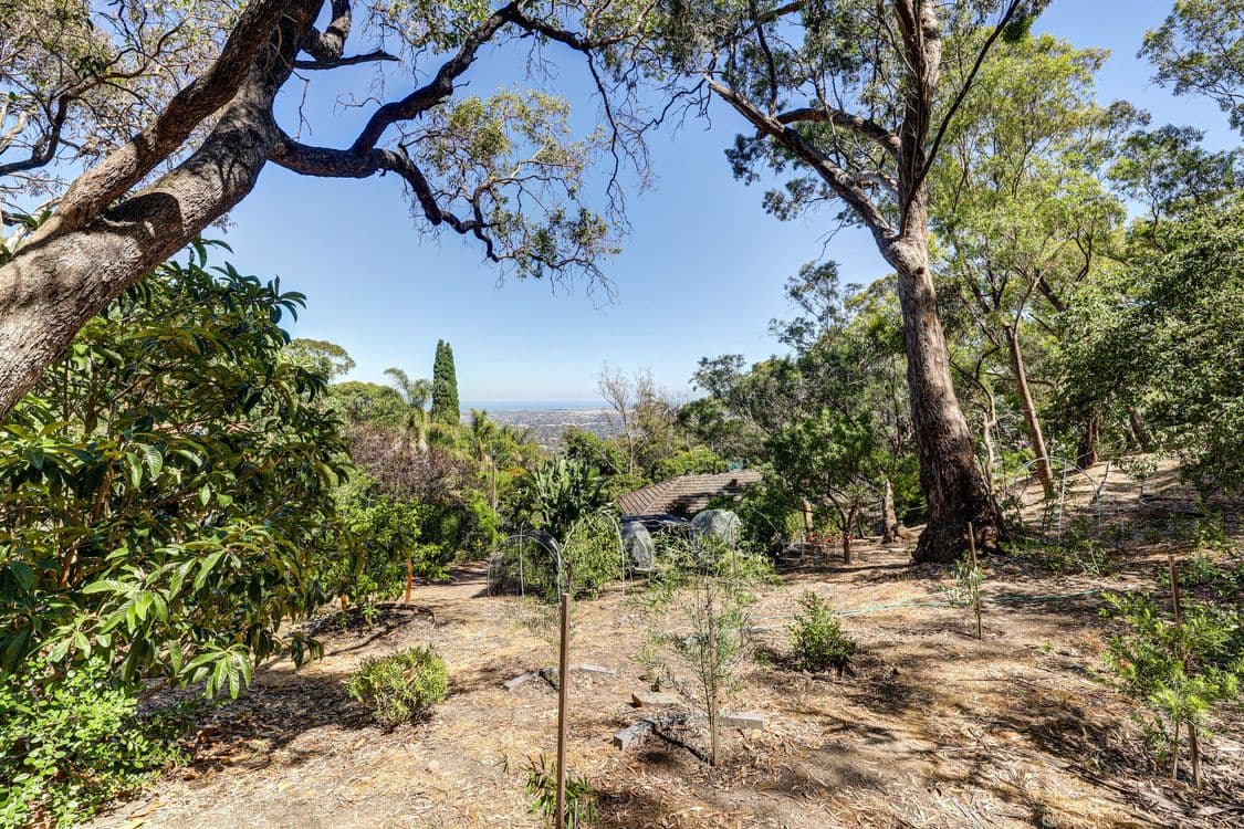5 Winding Way, Belair, SA 5052, Belair - Thumbnail 4
