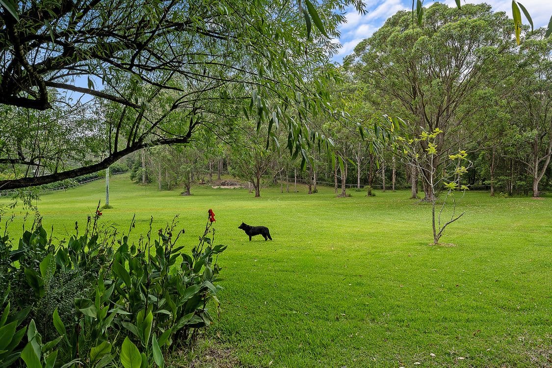 348 Owens Road, Martinsville, NSW 2265, Martinsville - Thumbnail 7