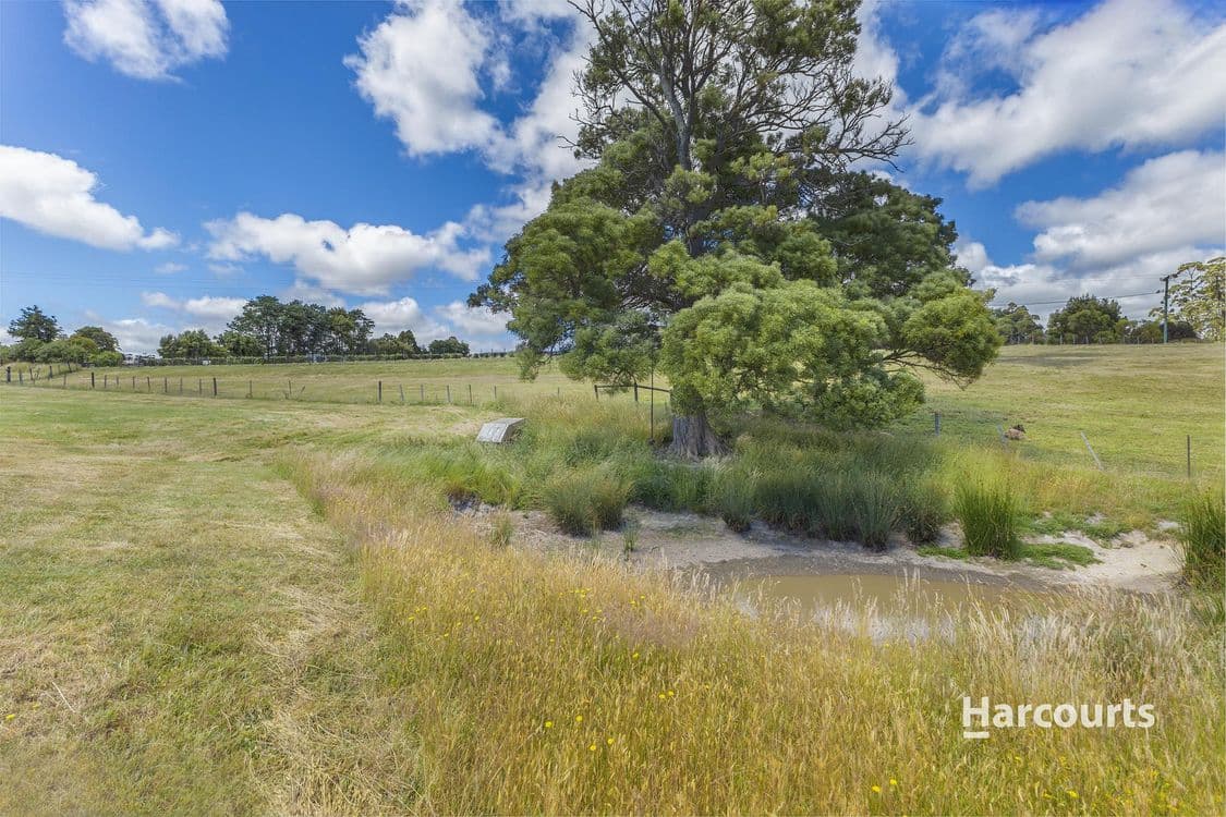 136 Lennah Drive, WYNYARD, TAS 7325, Wynyard - Thumbnail 5