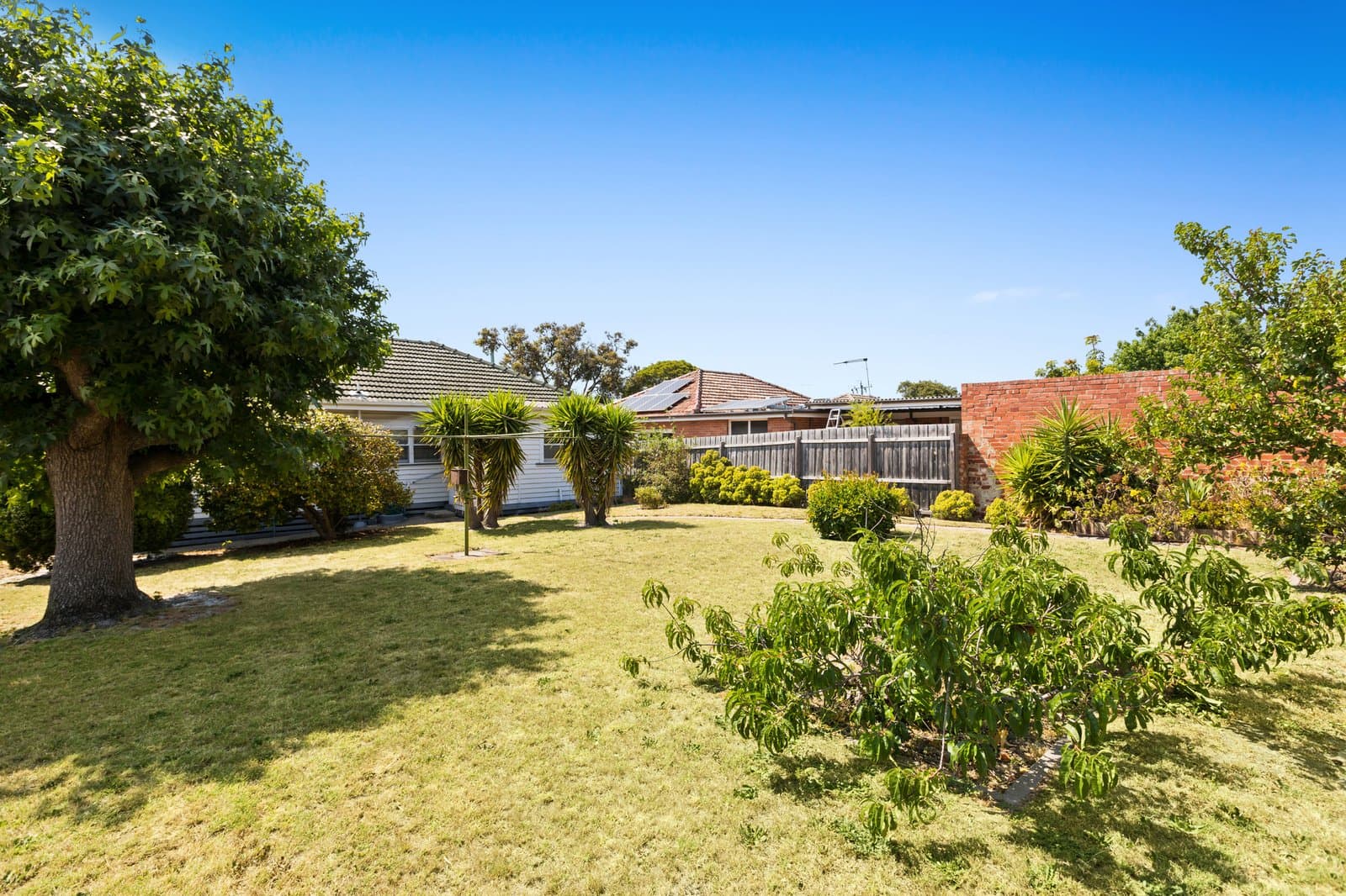 51 Davey Street, Parkdale, Parkdale - Thumbnail 2