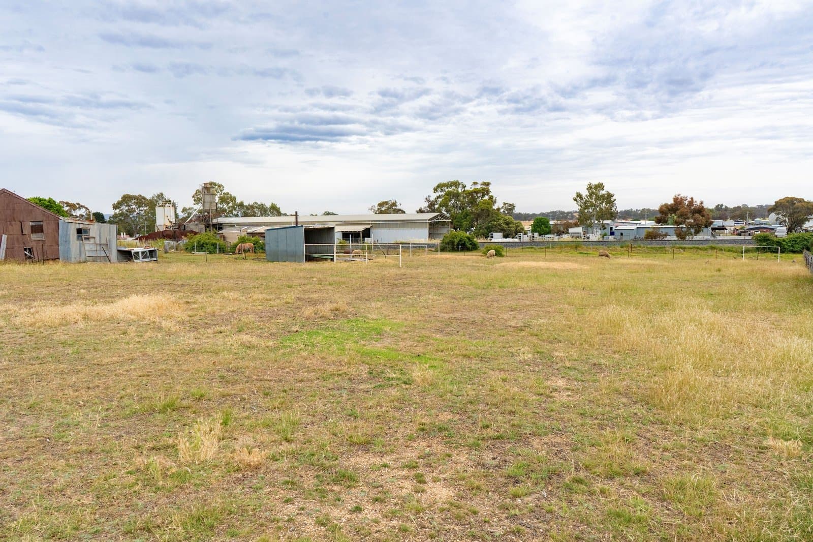 19 York Avenue, Avoca, Avoca - Thumbnail 2