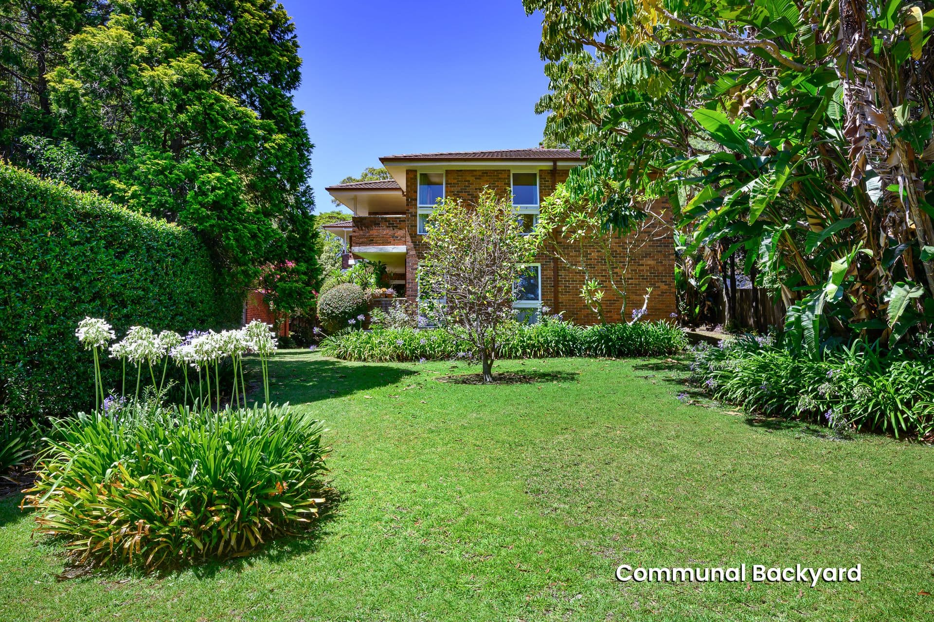5/10 Victoria Street, Roseville, Roseville - Thumbnail 4