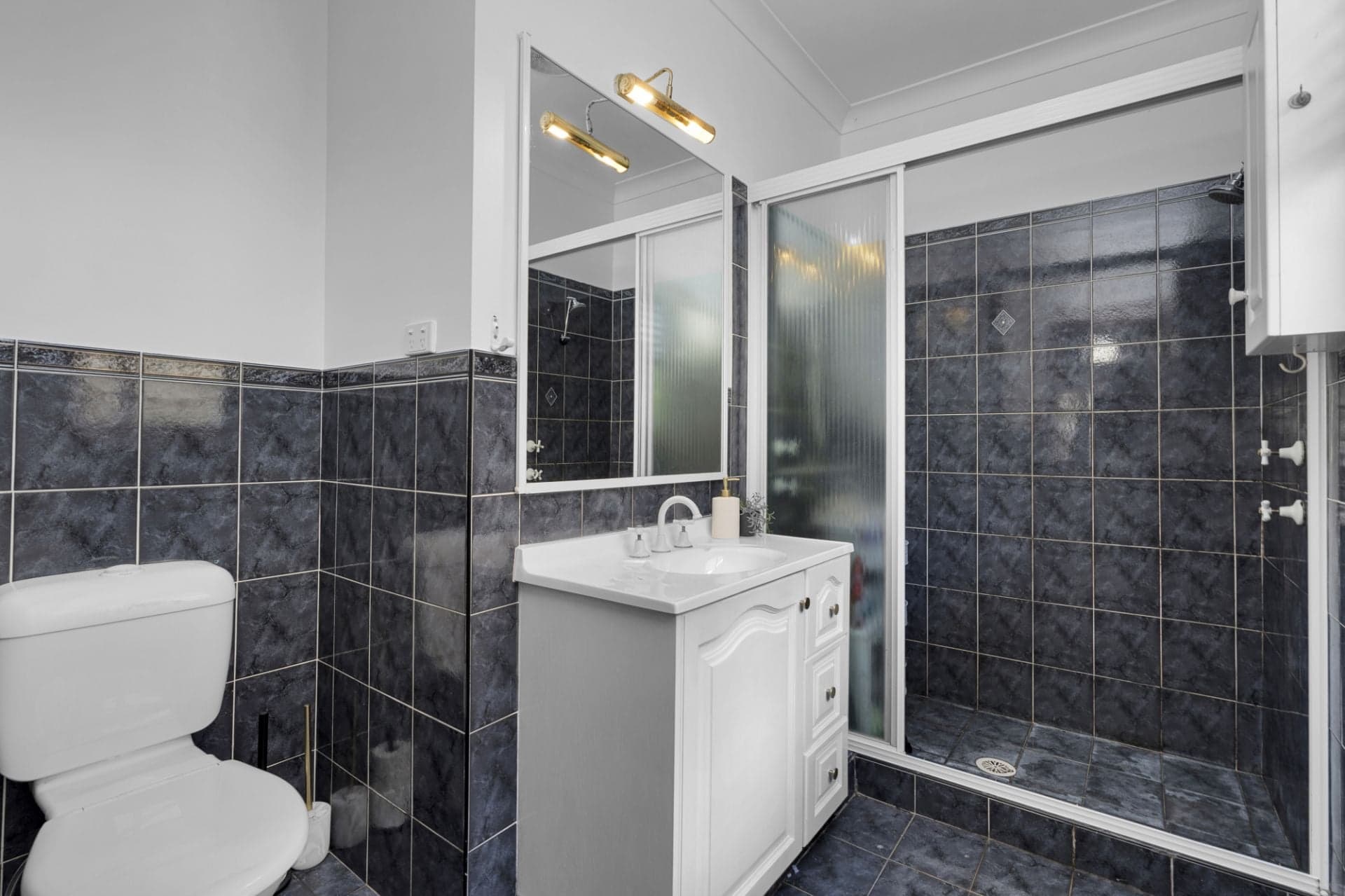 99 Abington Crescent, Glen Alpine, Glen Alpine - Thumbnail 8
