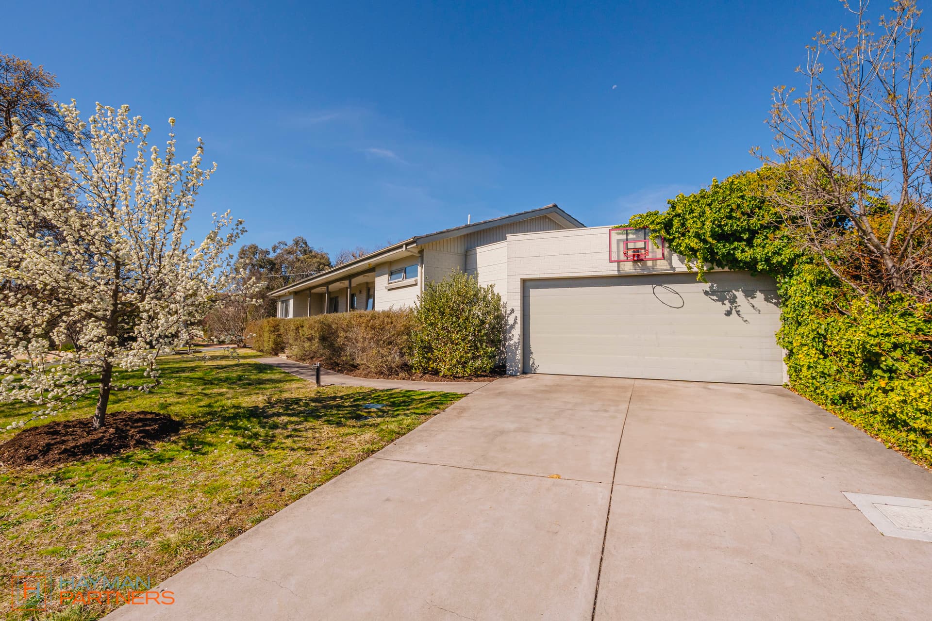 79 Birdwood Street, Hughes ACT 2605, Hughes - Thumbnail 7