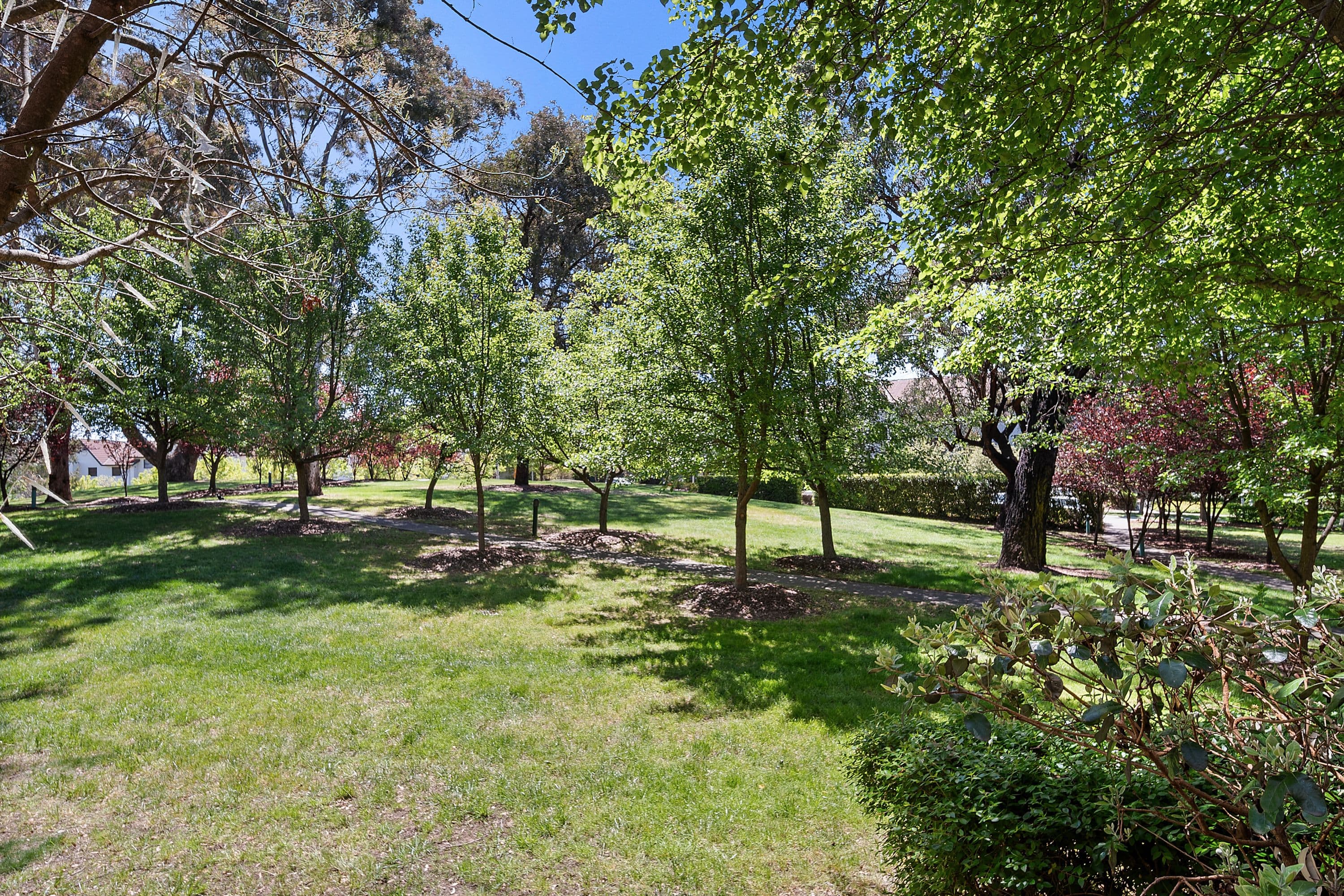 2 Eldridge Crescent , Garran ACT 2605, Garran - Thumbnail 8
