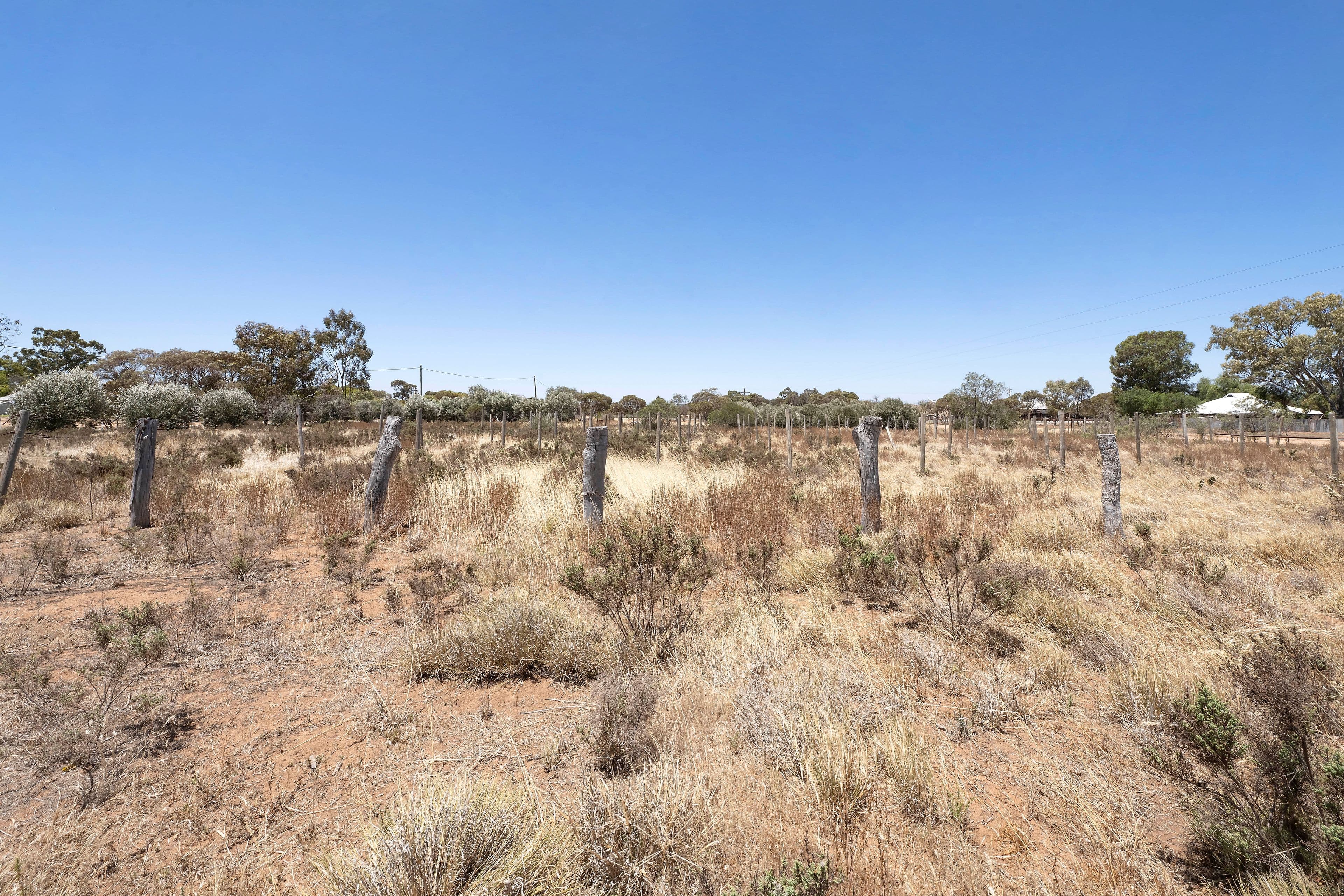 5 Jeans Lane , Nyah VIC 3594, Nyah - Thumbnail 5