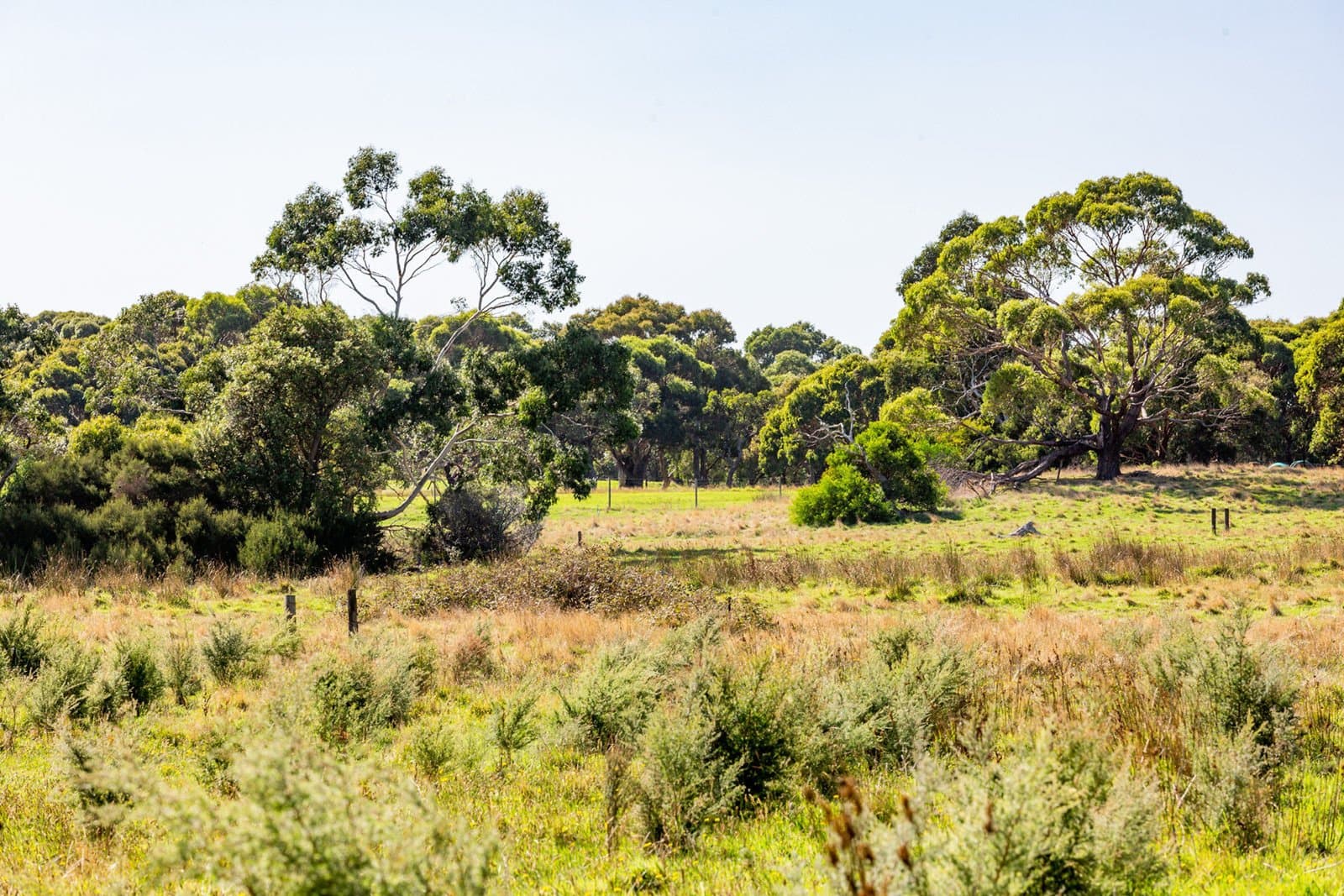 60 Patterson Road, Boneo, Boneo - Thumbnail 8