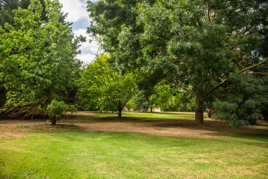 60 Henry Road, LITTLEHAMPTON, SA 5250, Littlehampton - Thumbnail 2