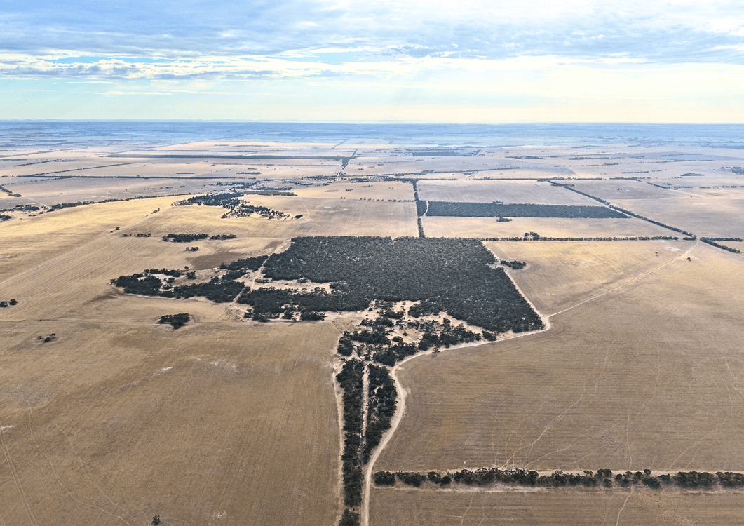1038 Courela Road, STREAKY BAY, SA 5680, Streaky Bay - Thumbnail 5