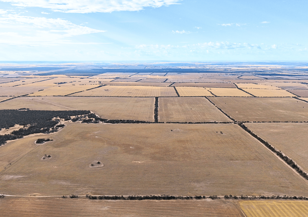 1038 Courela Road, STREAKY BAY, SA 5680, Streaky Bay - Thumbnail 6