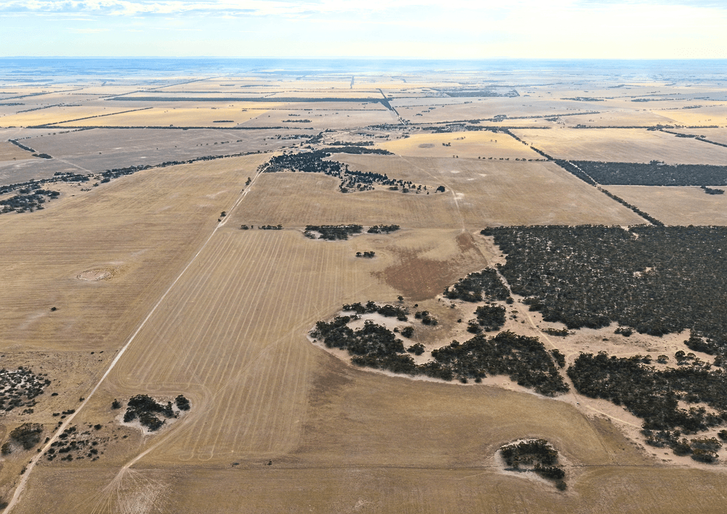 1038 Courela Road, STREAKY BAY, SA 5680, Streaky Bay - Thumbnail 7