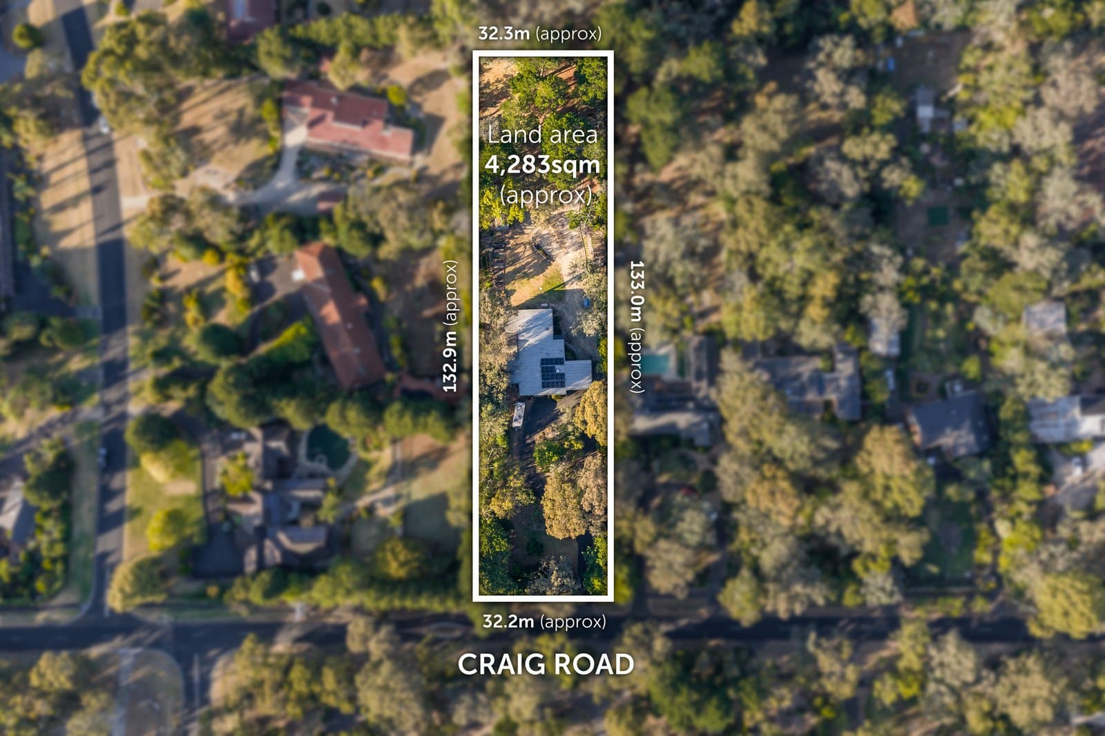 21 Craig Road, Donvale, Donvale - Thumbnail 4