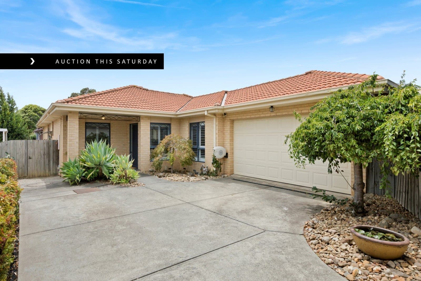 9A Ashmore Avenue, Mordialloc, Mordialloc - Thumbnail 3