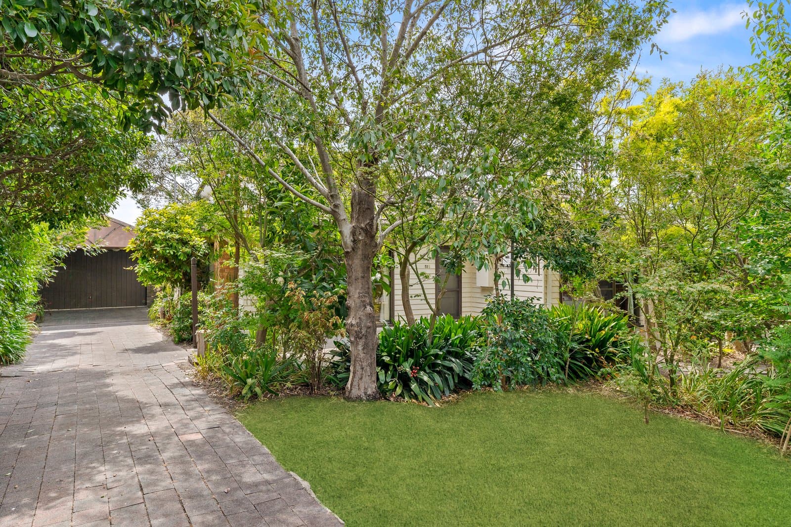 51 Andrews Street, Burwood, Burwood - Thumbnail 4