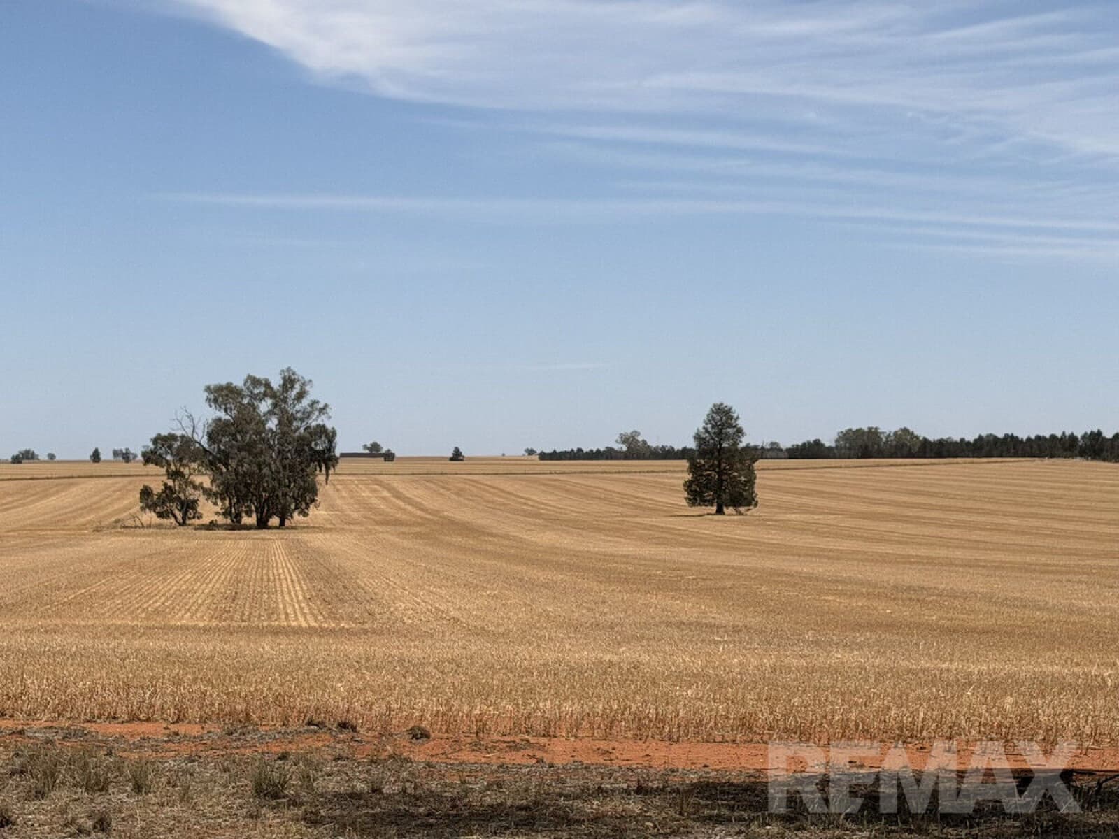 9547 Mahonga Road Urana NSW 2645, Urana - Image 1