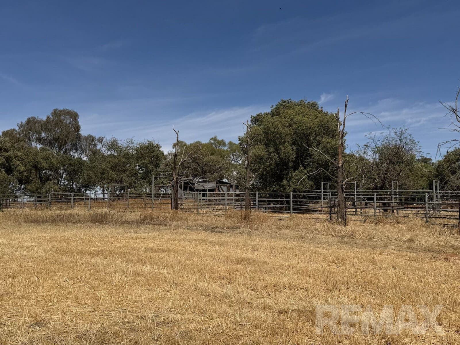 9547 Mahonga Road Urana NSW 2645, Urana - Thumbnail 3