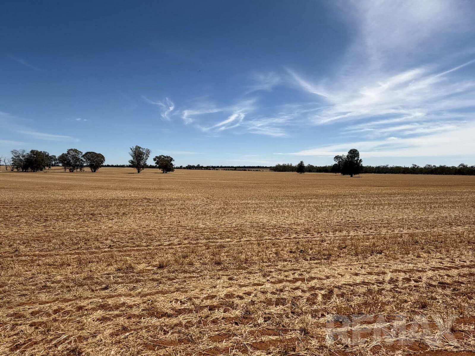 9547 Mahonga Road Urana NSW 2645, Urana - Thumbnail 5