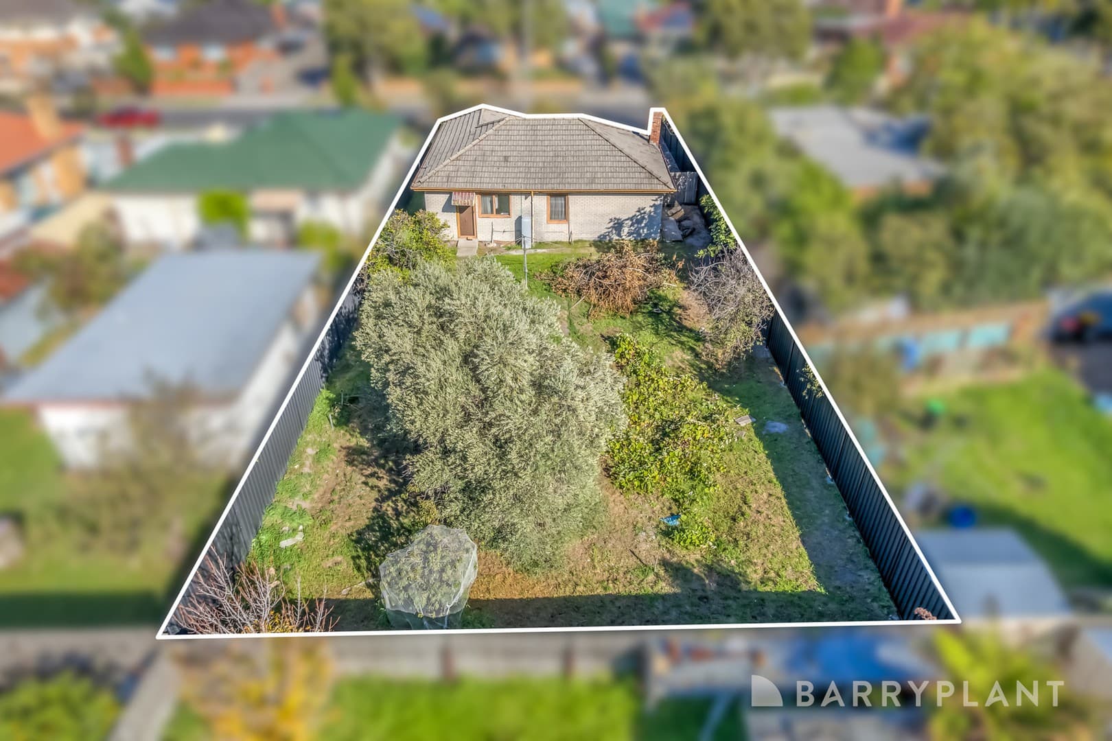5 Ida Street, Clayton South, VIC 3169, Clayton South - Thumbnail 6
