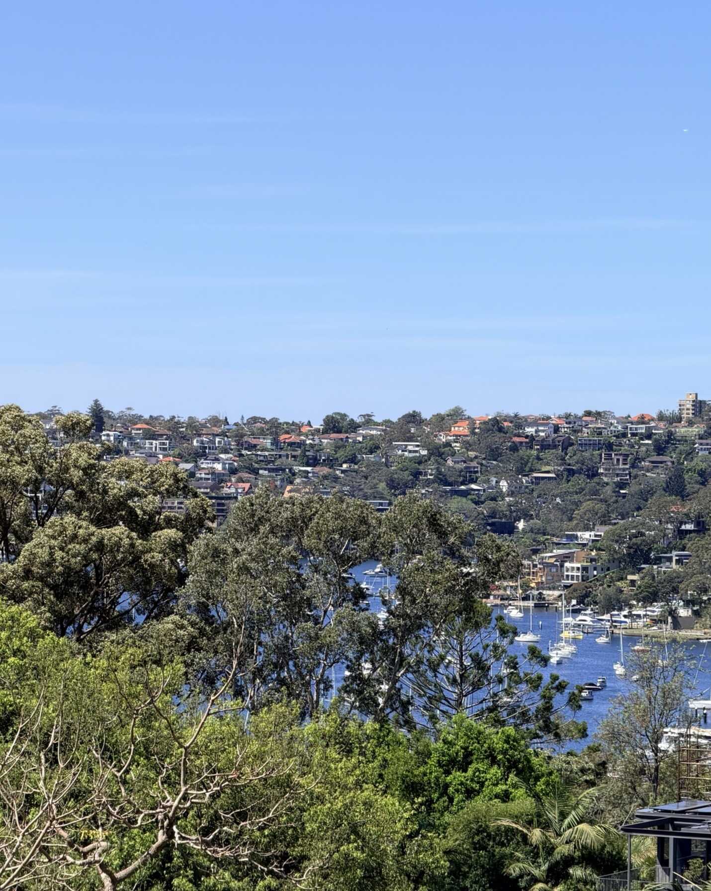 40A Pine Street East Cammeray, Cammeray - Thumbnail 3